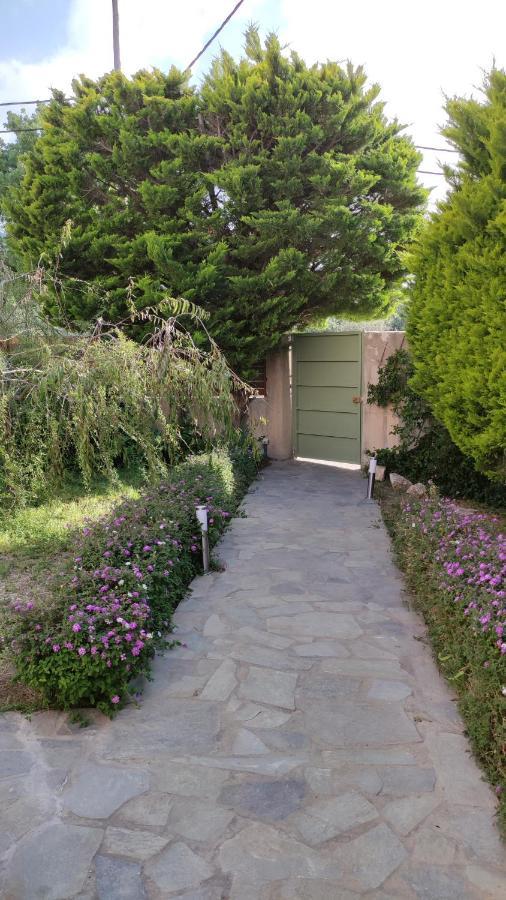 Villa Katerina Ialysos  Bagian luar foto